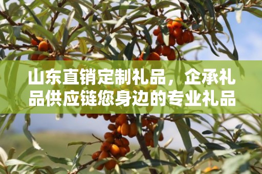 山东直销定制礼品，企承礼品供应链您身边的专业礼品定制公司